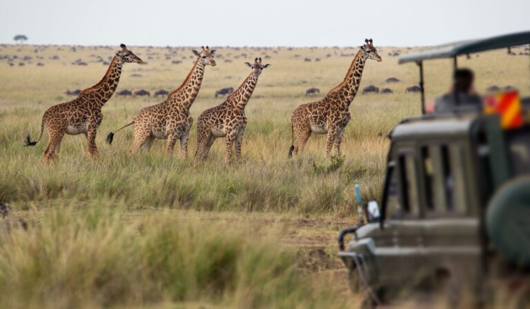 8 Days Tanzania Family Safari