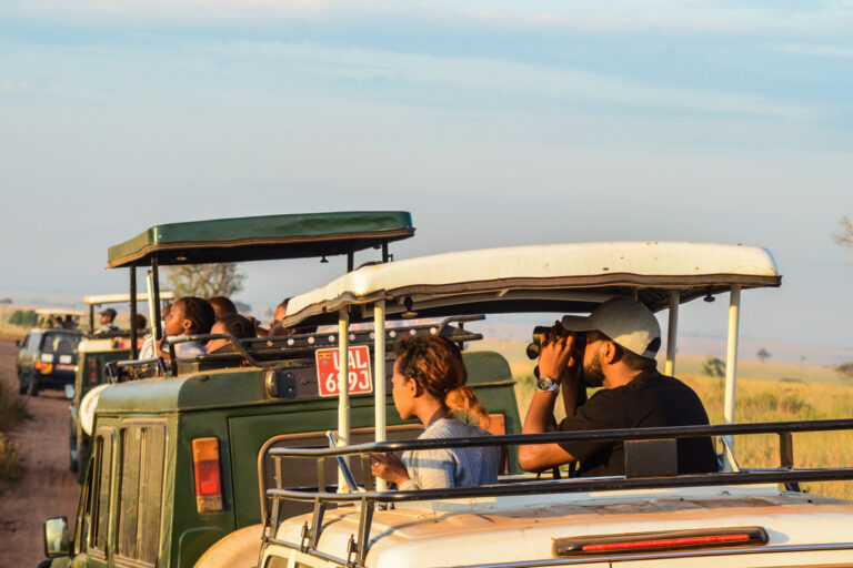 Group Joining Safari – How It Works