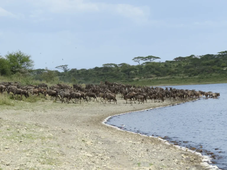 Serengeti National Park