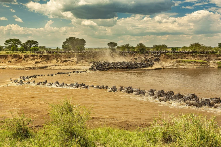 8 Days Tanzania Family Safari