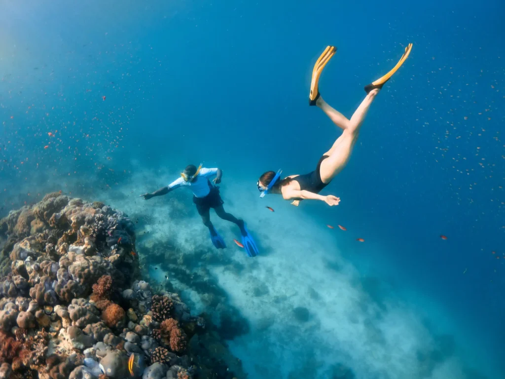 Pemba Channel Diving Holiday