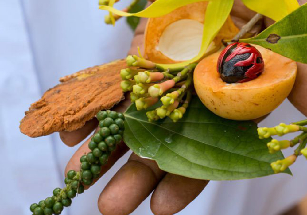 Pemba Spice Farm Tour