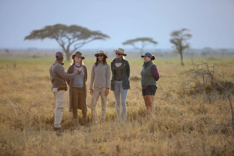 Your Complete Packing Guide for a Guided Camping Safari