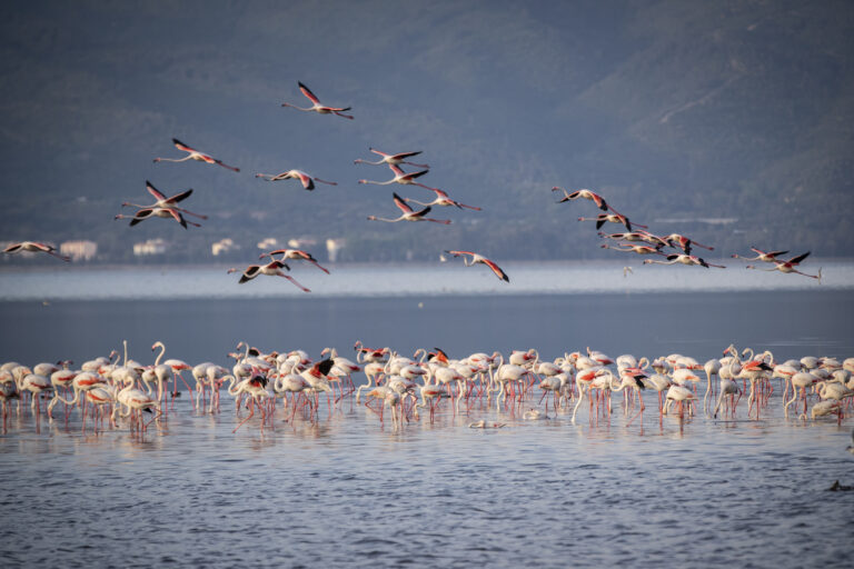 Amboseli National Park