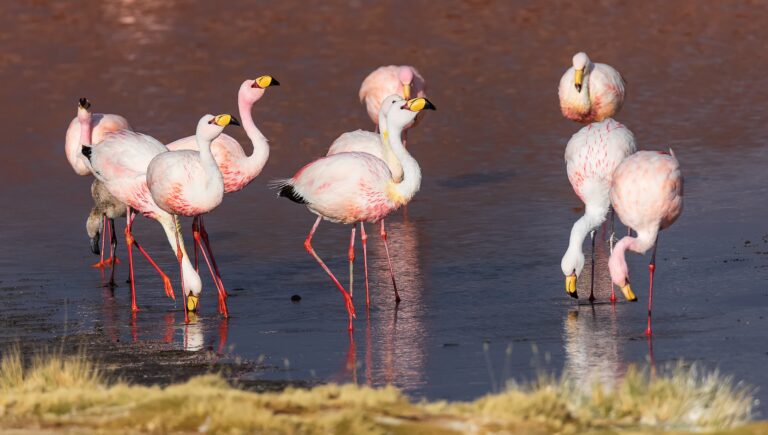 Tanzania Northern Circuit Highlights