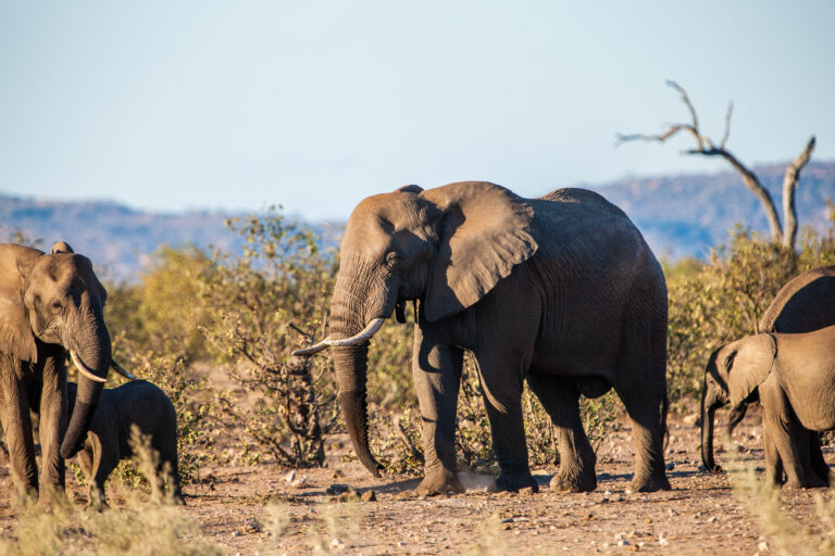 Serengeti National Park