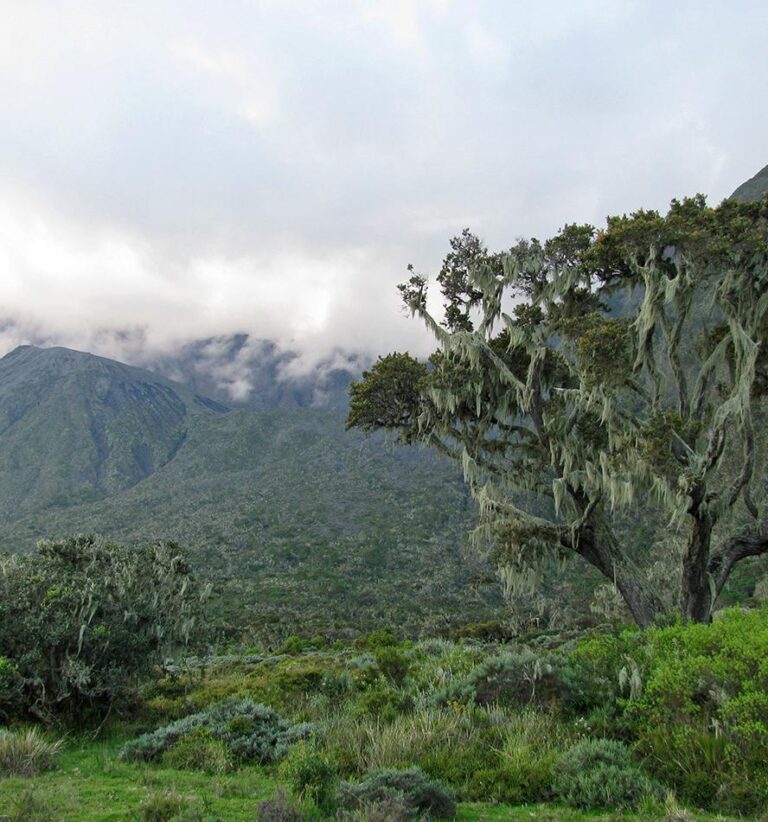 Mount Meru Climb