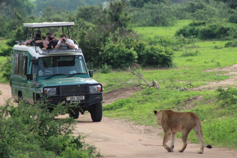 Murchison Falls Express Safari