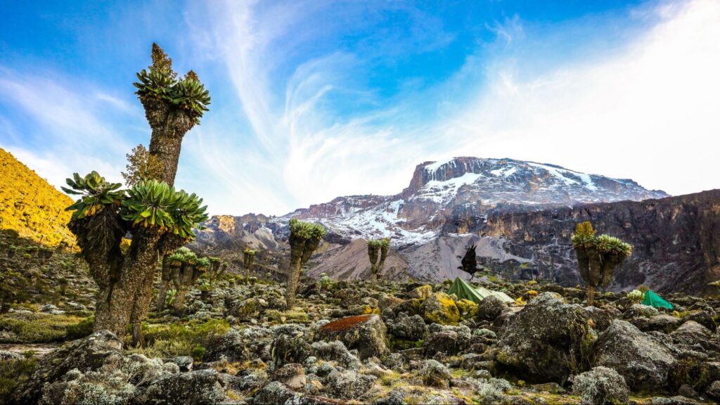 Mount Kilimanjaro