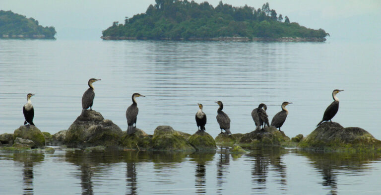 Lake Kivu