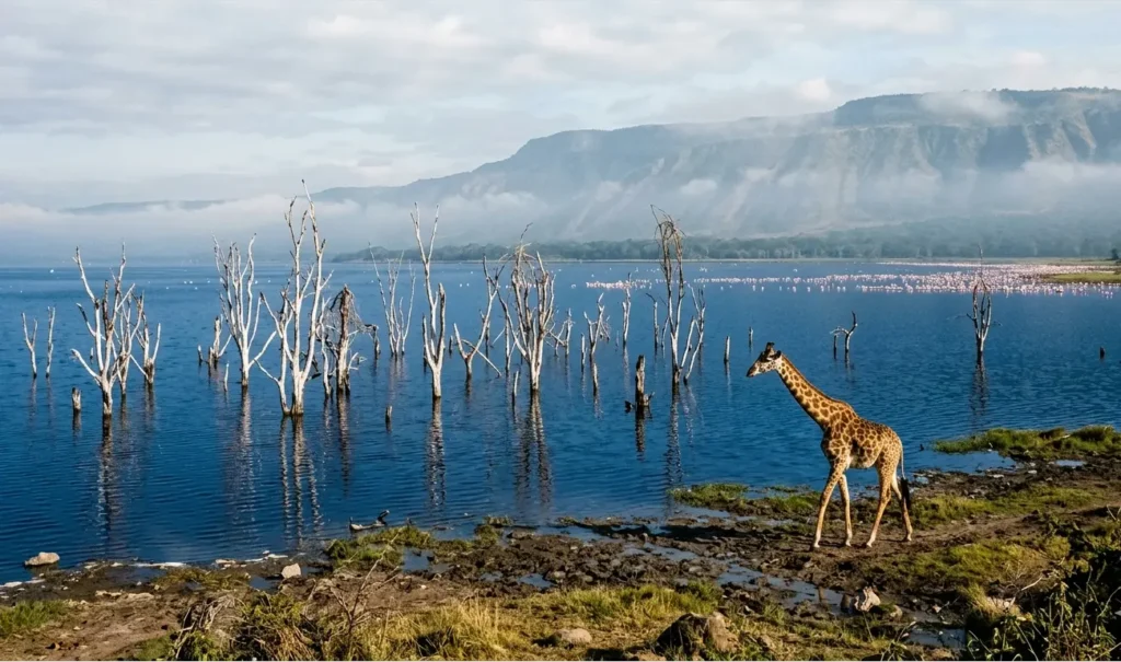 Lake Nakuru National Park