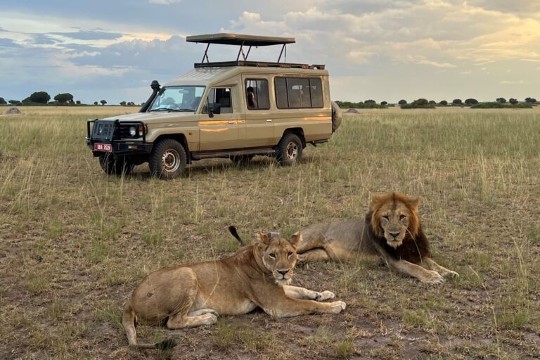 7 Days Great Migration Safari