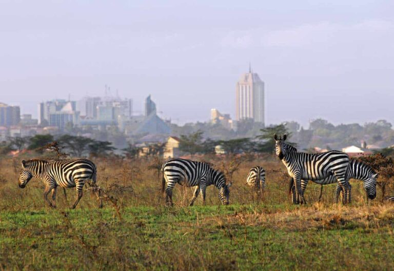 4 Days Budget Group Safari