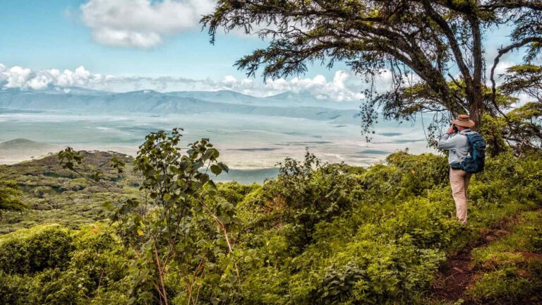 Ngorongoro Crater