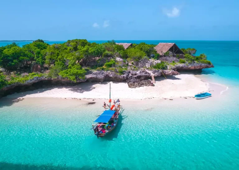 Pemba Channel Diving Holiday