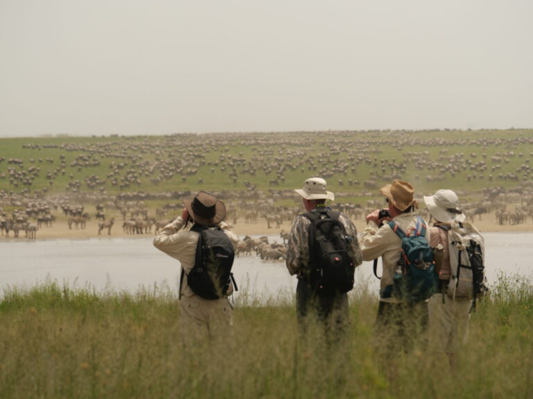 4 Days Budget Group Safari