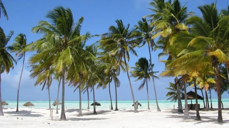 Paje, Zanzibar