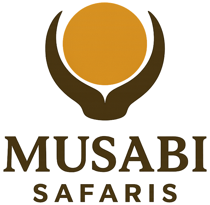 Vision Safaris & Tours
